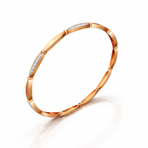 BANGLE 1